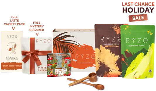 Bundle BC